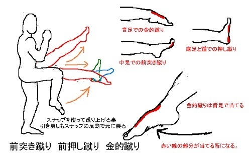 空手練習 蹴りの基本 前蹴り のコツと上達法 空手の組手 形が上達するコツと練習法 自宅で空手上達ナビ